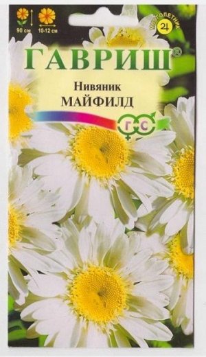 Нивяник Майфилд (Код: 14923)