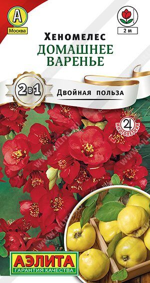 Хеномелес Домашнее варенье (Код: 89564)