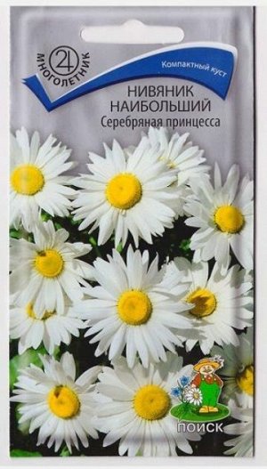 Нивяник Серебряная принцесса наибольший (Код: 14297)