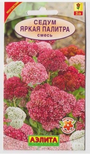 Седум Яркая палитра смесь (Код: 15820)