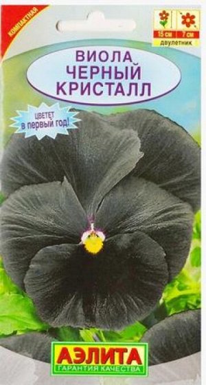 Виола Черный Кристалл (Код: 6729)