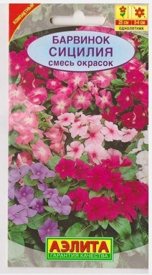 Барвинок Сицилия смесь окрасок (Код: 76212)