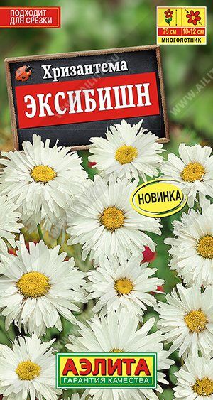 Хризантема Эксибишн (Код: 89566)