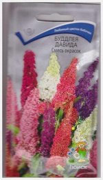 Буддлея Давида Смесь окрасок (Код: 8477)