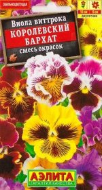 Виола Королевский бархат смесь (Код: 15726)