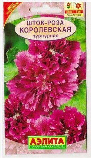 Шток-роза Королевская пурпурная (Код: 3704)