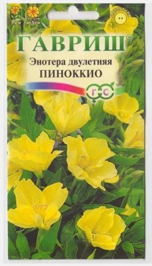 Энотера Пиноккио (Код: 13442)