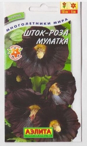 Шток-роза Мулатка (Код: 3705)