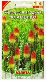 Книфофия ягодная Фламенко (Код: 75487)