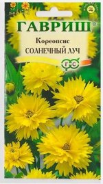 Кореопсис Солнечный Луч (Код: 12495)