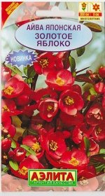 Айва японская Золотое яблоко (Код: 75466)