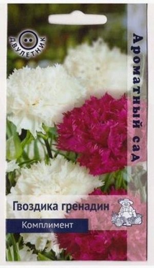 Гвоздика Гренадин Комплимент (Код: 80396)