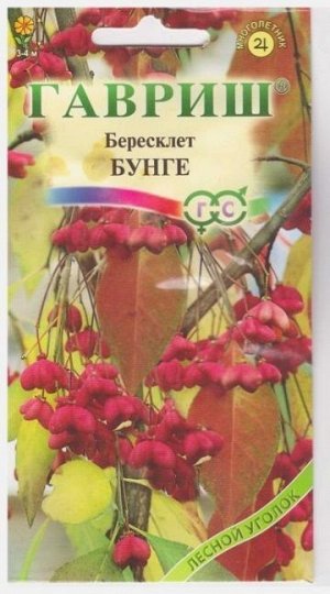 Бересклет Бунге (Код: 14504)