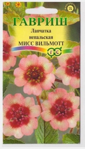 Лапчатка Мисс Виллмонтт непальская (Код: 10475)