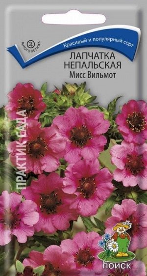 Лапчатка Непальская Мисс Вильмонт (Код: 66081)