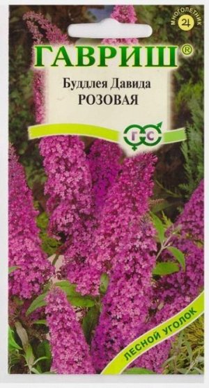 Буддлея Давида Розовая (Код: 10443)