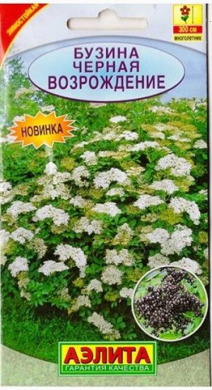 Бузина черная Возрождение (Код: 79359)