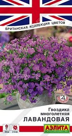 Гвоздика Многолетняя лавандовая (Код: 89516)