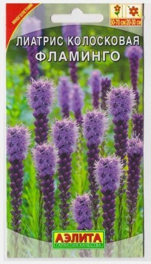 Лиатрис Колосковый Фламинго (Код: 1065)