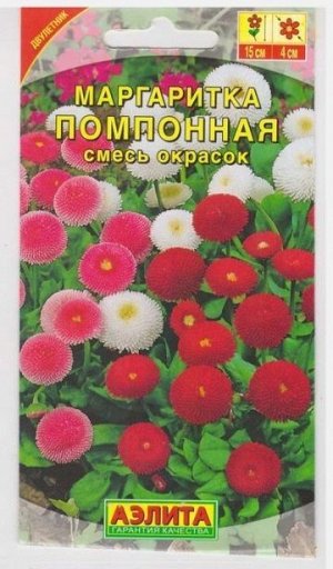 Маргаритка Помпонная Смесь (Код: 6915)