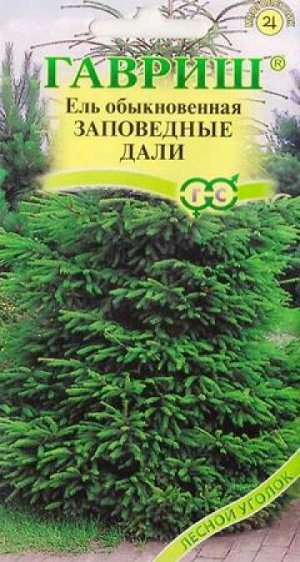 Ель обыкновенная Заповедные Дали (Код: 87033)