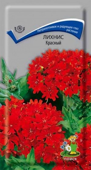 Лихнис Красный (Код: 67289)