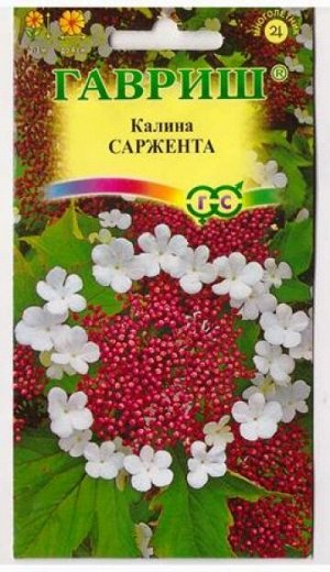 Калина Саржента (Код: 79934)