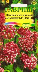 Ваточник Карминно-розовый (Код: 85665)