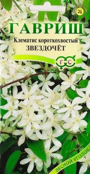 Клематис кортоткохвостый Звездочет (Код: 81806)