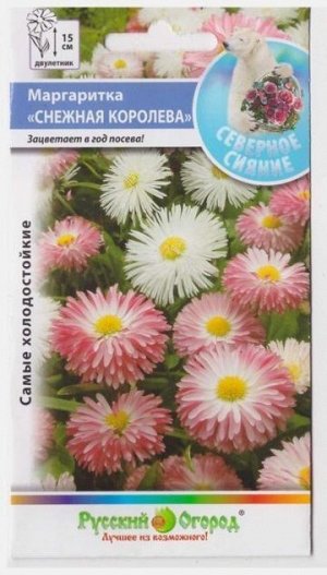 Маргаритка Снежная королева смесь (Код: 8547)