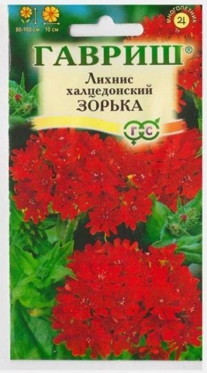 Лихнис Халцедонский Зорька (Код: 1503)