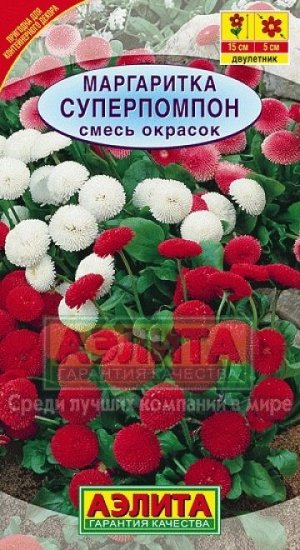 Маргаритка Суперпомпон смесь (Код: 2943)