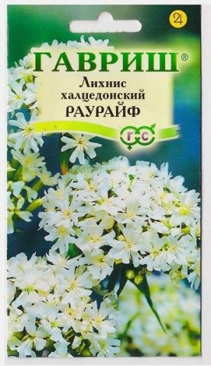 Лихнис Халцедонский Раурайф (Код: 9791)