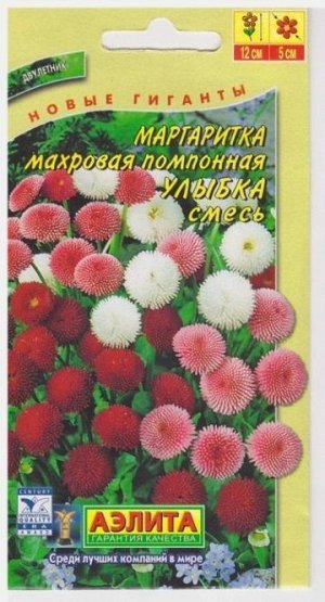 Маргаритка Улыбка (Код: 16432)