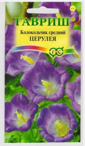 Колокольчик Средний Церулея (Код: 14503)