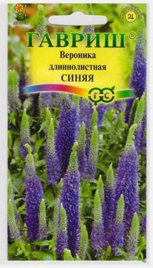 Вероника Длиннолистная синяя (Код: 10669)