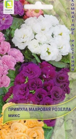 Примула Розелла Микс (Код: 85734)