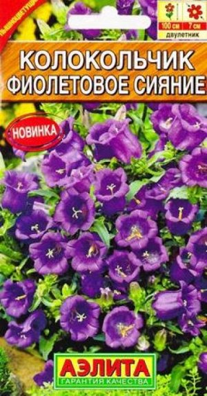 Колокольчик Фиолетовое Сияние (Код: 82605)