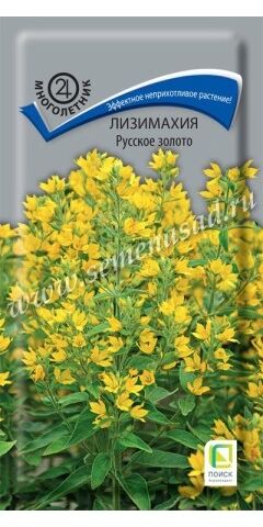 Лизимахия Русское золото (Код: 88344)