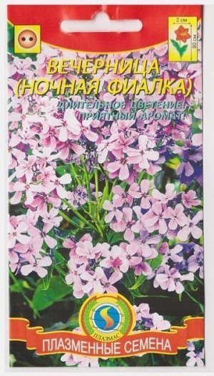 Вечерница (Код: 75144)
