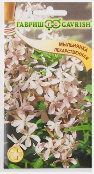 Мыльнянка лекарственная (Код: 69104)