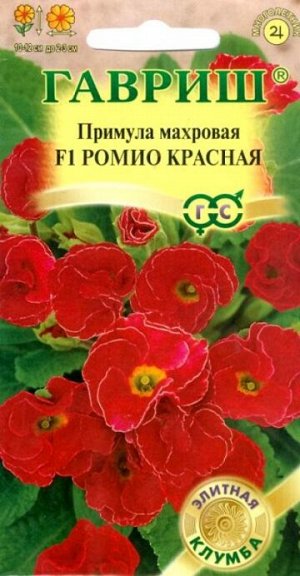 Примула Ромио красный F1 (Код: 71833)
