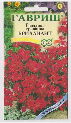 Гвоздика Травянка Бриллиант (Код: 9787)