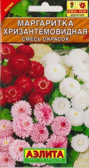 Маргаритка Хризантемовидная смесь окрасок (Код: 68594)