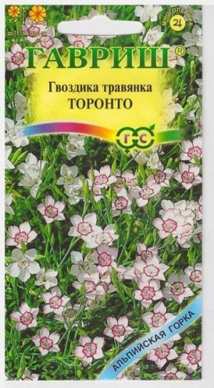 Гвоздика Травянка Торонто (Код: 72068)