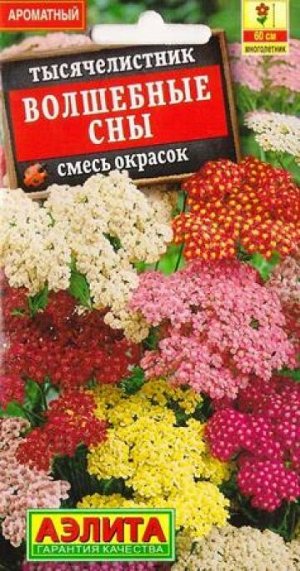 Тысячелистник Волшебные сны (Код: 85071)