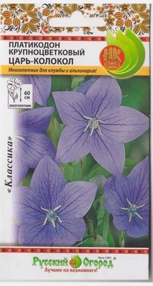 Платикодон Царь-Колокол (Код: 5887)
