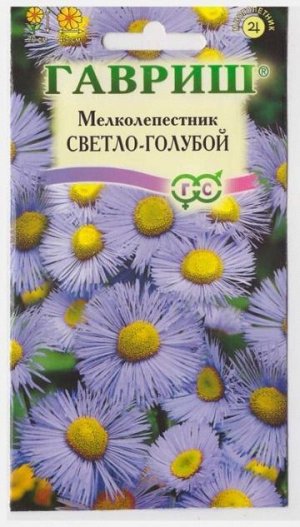 Мелколепестник Светло-голубой (Код: 4221)
