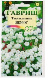 Тысячелистник Жемчуг белый (Код: 10304)
