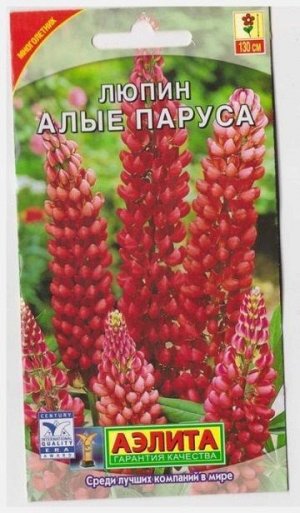 Люпин Алые паруса красный (Код: 133)